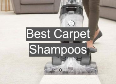 Best Carpet Shampoos