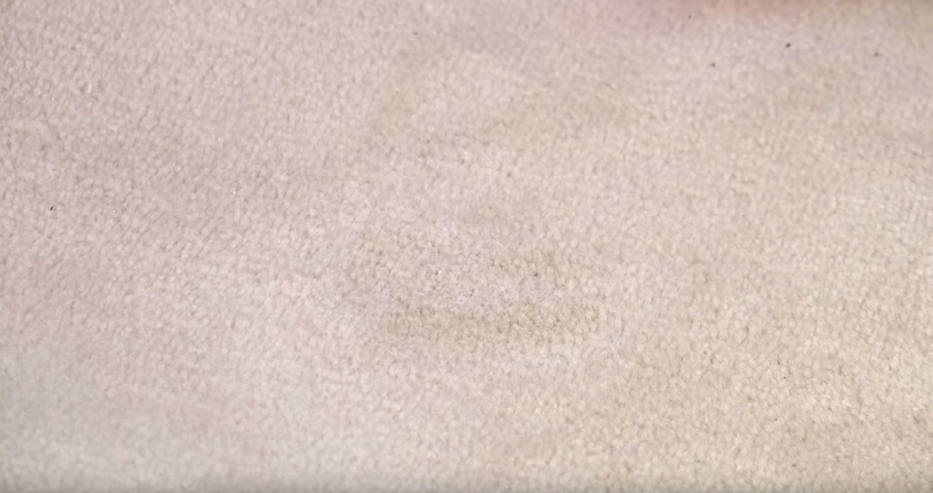 How To Remove Coffee Stains From Carpet Image
