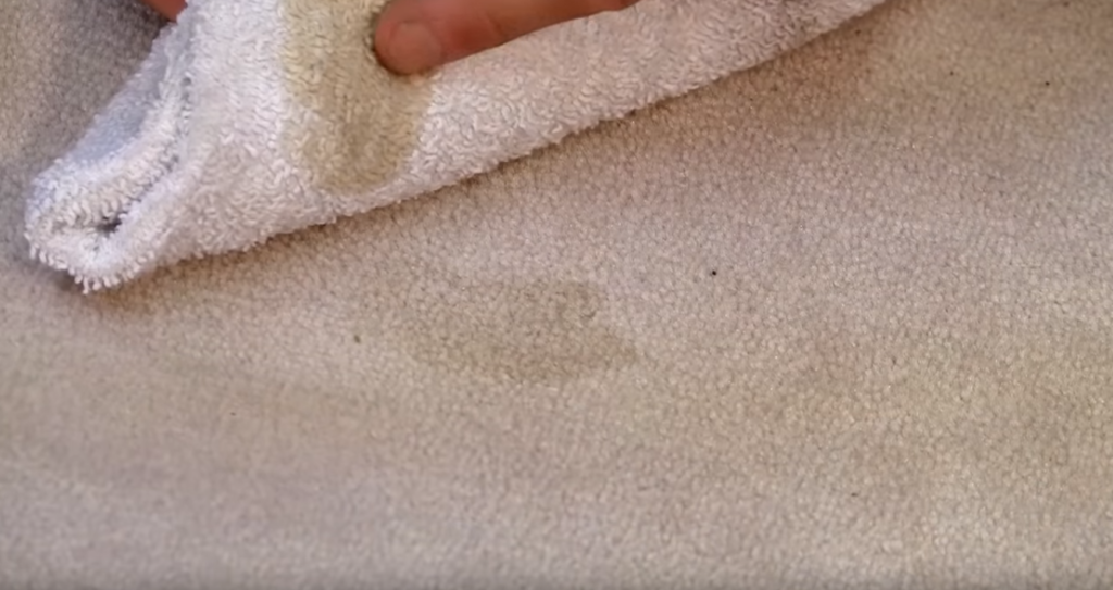 How To Remove Coffee Stains From Carpet Image