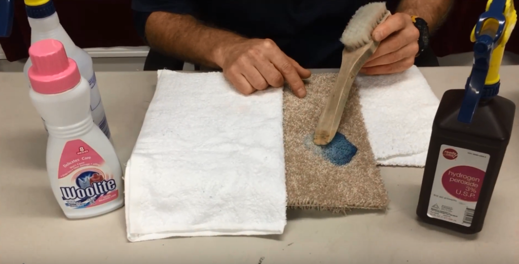How to Get Slime Out of Carpet Instruction