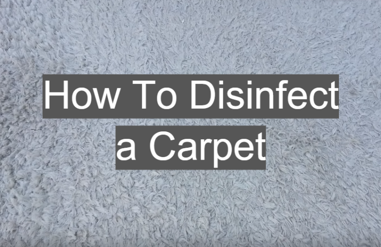 Tips On How To Disinfect a Carpet