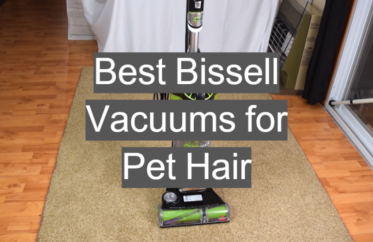 5 Best Bissell Vacuums for Pet Hair