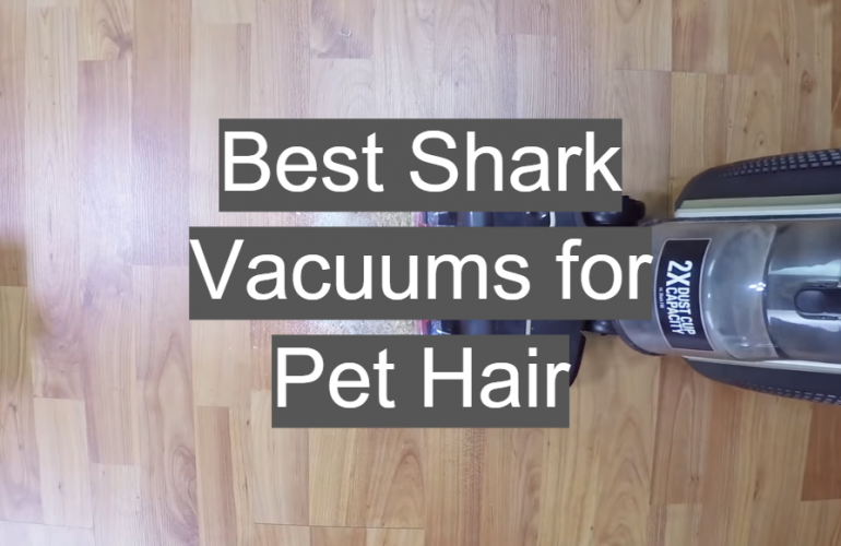 5 Best Shark Vacuums for Pet Hair