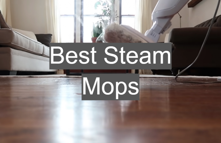 5 Best Steam Mops