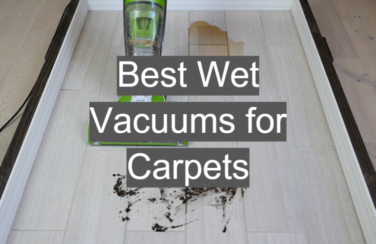 5 Best Wet Vacuums for Carpets